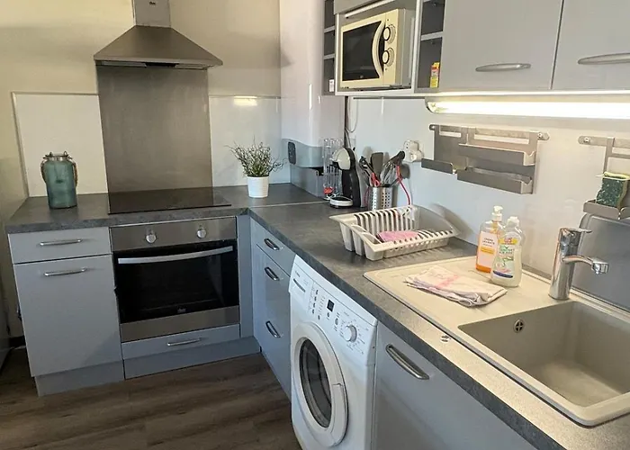 Grand A 100 Metres De La Apartment