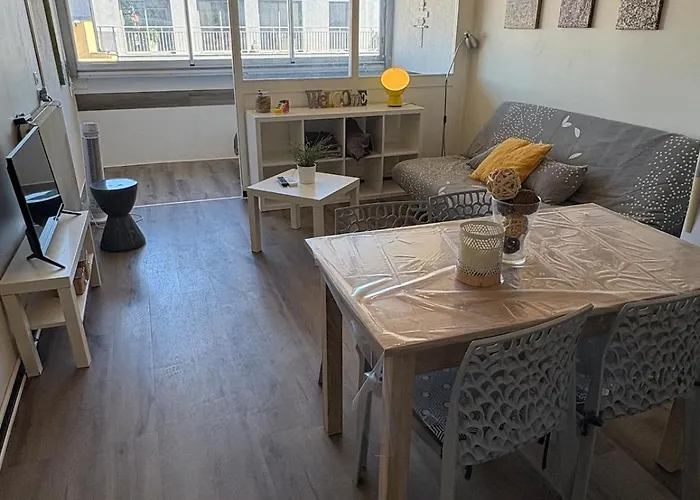 Grand A 100 Metres De La Apartment *